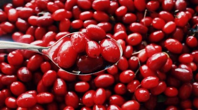 Uzmanlara gre "Melatonin vcudun gece salglad bir hormondur ve bu hormon yeterli lde salglanmadnda hastalklara neden olabilir.