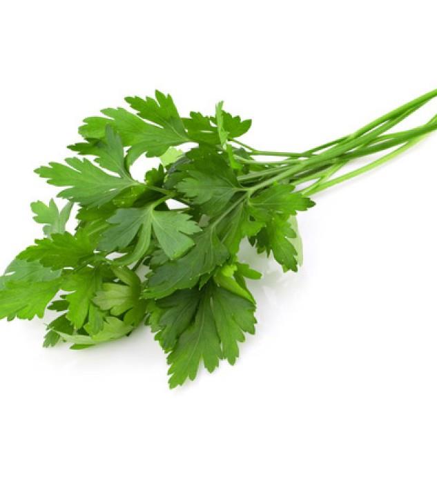 Maydanoz ierdii esansiyel yalar aracl ile kalc iltihaplara kar etkilidir. ltihaptan kaynaklanan hastalklara yakalanma orann drr ve baklk sitemini genel anlamda korur.