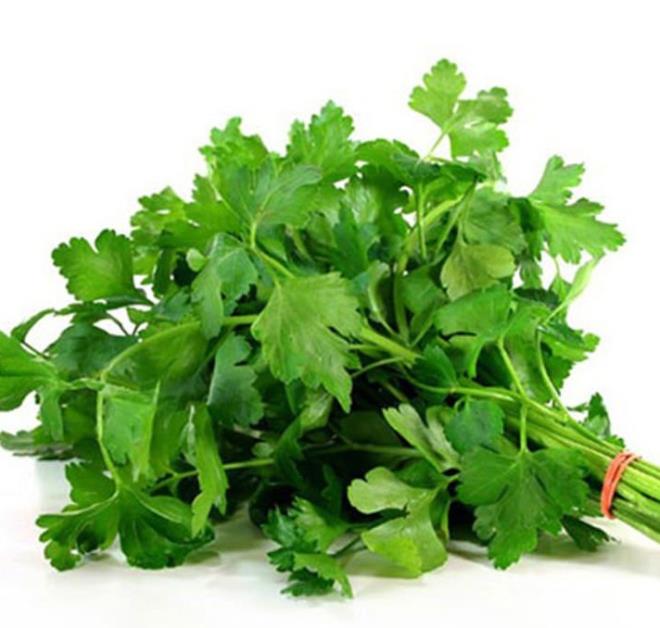 Maydanoz, lkemizde zellikle salatalara katlarak tketilen, kk ama salk asndan ok nemli bir Akdeniz bitkisidir. Ayn zamanda afrodizyak etkisiyle mutluluk hormonlarn uyarp iftlerin ilac oluyor...