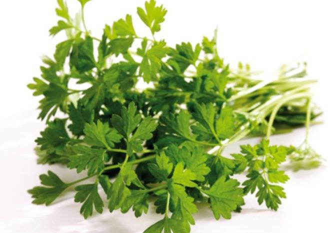 erdii vitamin ve bileenler yardmyla bbreklerin dzenli ve salkl bir ekilde almas iin fayda salar. Fakat ar tketmemeye dikkat etmek gerekir. Aksi durumda baz sorunlar yaatabilir.