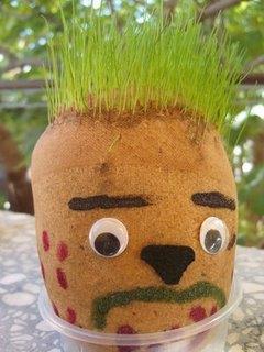 90&#8217;larda salarmz ortadan ayrrdk, yana ve geriye tarardk. Ykamaya enmeyen uzatr at kuyruk yapard. Jle dediin ey sa yatrmaya yarayan bir meretti. Hatta san &#8220;inek yalam&#8221;  olmas diye bir ey vardr. Sonra birden hepimiz salarmz kirpi gibi dikmeye baladk. Neden diye soran da olmad. Birden bire balad bu akm. nceden sadece punklarn yapt bir eydi salar dikmek. Nasl olduysa birden halkn geneline yayld. im adam, punklarn dnyaya yaylmas iin bir truva atyd ve 90&#8217;larda kanmza giren bu zehiri hala vcudumuzdan atamadk.