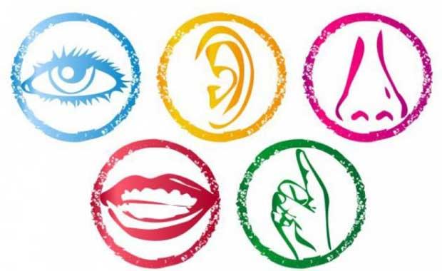 nsann Ka Duyusu Vardr ?  <br>  Hepimizin bildii be duyu var evet ama aslnda en az dokuz duyumuz bulunmaktadr.Grme,iitme,tat alma,koku alma,dokunma duyularn hepimiz ok iyi biliyoruz.Bunlarn dnda drt duyu daha vardr ;   <br>  1. Is Duyusu  2. Denge Duyusu  3. Ar Duyusu  4. alg(bilinalt)