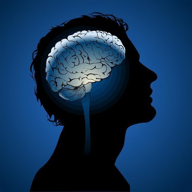 Beyin  <br>  Erkek beyni yzde 14 daha ardr. Buna karlk kadnlarda iki yarm kre arasndaki iletiim daha iyidir.