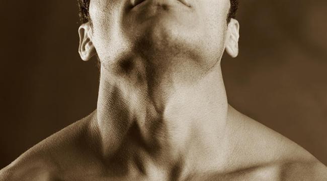 Adem elmas<br>    Grtlaktaki adem elmas adl knt sadece erkeklere hastr.