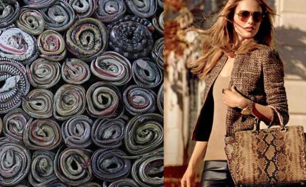 Deri �anta  <br>  Deri �antalar�n �retiminde �zellikle y�lan derileri tercih ediliyor.