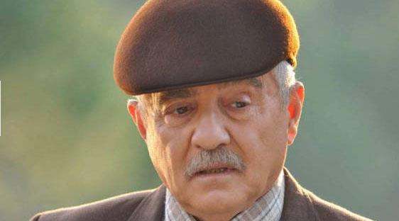 Sanat�� Kurtulu�, Karakolda Ayna Var, Perihan Abla gibi dizilerde oynam��t�r.