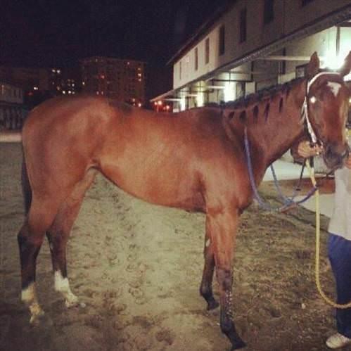 Emre Karayel  <br>  Yar��� kazand�ktan sonra k�z�m�n havas�.