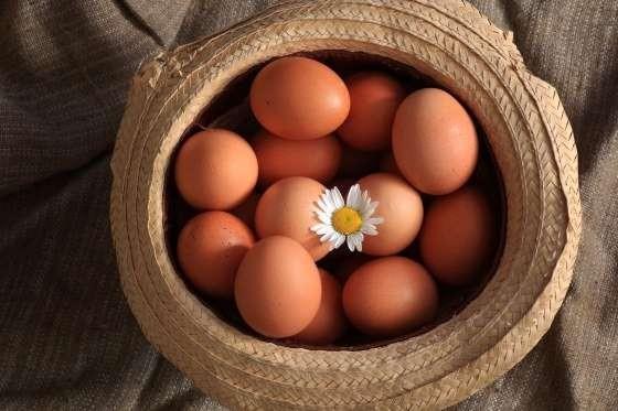 Yumurta denince aklmza ilk gelen ey kahvalt olsa da, aslnda birbirinden farkl pek ok zellii iinde barndryorlar. Yumurta hakkndaki bu 21 ilgin bilgiye bir gz atalm, bir daha yumurtya mutfanzdan asla eksik etmeyeceksiniz!