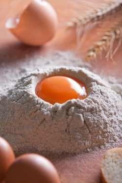 YUMURTANIN SARISI, PROTEN DEERN GSTERMEZ.  Bu tamamen, tavuun beslenmesine baldr.