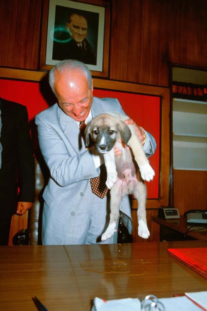 Cumhurbakan Kenan Evrene, Sivas gezisinde hediye edilen kangal yavrusu hediye edildi, 1987.