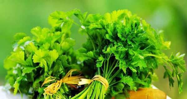 Uzmanlar kolesterol drmek iin doal bir urup neriyor. 1 kilo limon, 5-6 demet maydanoz, 3 litre su ve 200 gram kabartma tozundan oluan urup yle hazrlanyor; Ykanm limon ile kabartma tozunu suda 1 saat bekletin. Maydanozlar katp 3 litre suda kaynatn. 15 gn a karnna 1 fincan iin...  <br>  Peki, karbonat baka hangi alanlarda kullanlr?