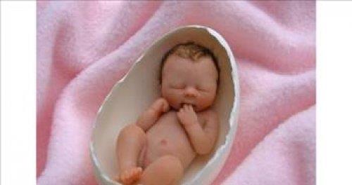 Simkent ehrinde yaayan ocuun karnndaki ilii fark eden okul doktorunun hastaneye bavurmas sonucunda hemen ameliyata alnan ocuun karnndan salar ve trnaklar uzam bir cenin karld.