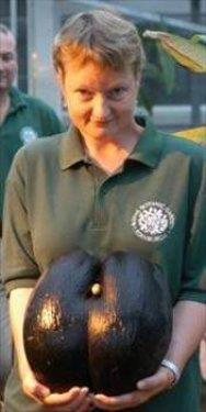 Dnya'nn en byk tohumu.