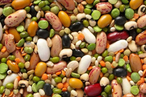 Protein ihtiyac�n�z� kar��lamak i�in baklagilleri tah�llarla birlikte yemelisiniz: G�n boyunca amino asitleri kar���k olarak t�ketmelisiniz. B�ylece ihtiyac�n�z olan besinleri tamamlars�n�z. Fasulye ve di�er baklagiller protein, lif, B vitamini, demir, potasyum ve di�er mineraller a��s�ndan zengindir. Ayn� zamanda ya� oran� d���kt�r.