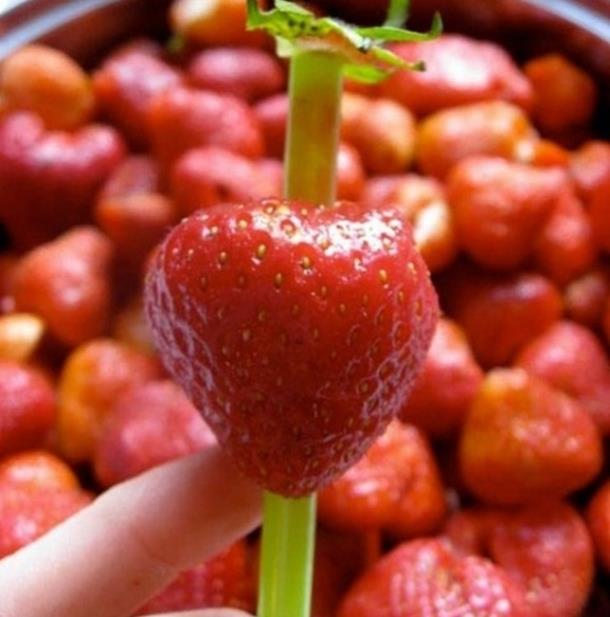 ilein pn ba ksmndan bir pipet sokarak rahata karabilirsiniz.