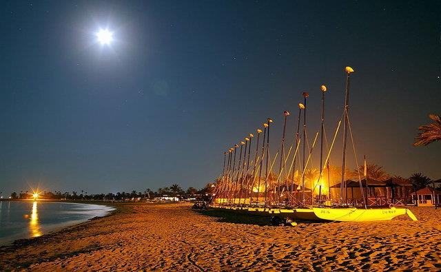 <p>77- Cerbe, Tunus</p>  <p>2013 ziyareti says: 2,538.4</p>  <p>2014 ziyareti says: 2,550.0</p>