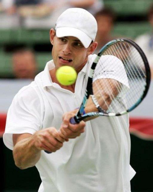 <p>Andy Roddick </p>  Fobisi: Tavan