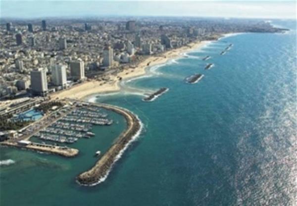 niversitelerde branice, Arapa veya ngilizce eitim alnyor.