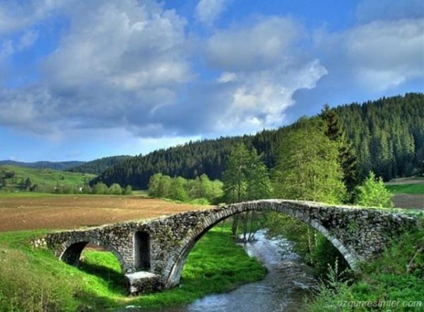 BATA yaknlyla Trk renciler iin cazip bir lke olan Bulgaristan'n niversiteleri zaman zaman YK'le denklik konusunda sorunlar yayor olsa da stanbul Otogar'dan kalkan minibslerle ehirleraras yolculuk yapar gibi gidilen bu lke tercih ediliyor.