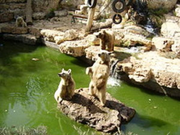 Yksekretim kurumu says: 67