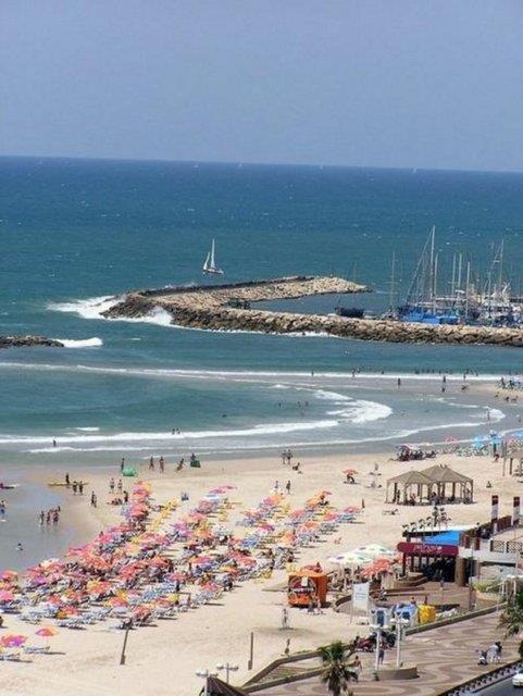 Dil bilmeyen renci hazrlk okuyor.