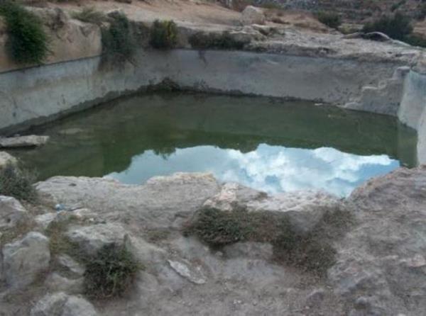 Birok niversite bavuruda Psychometric veya SAT'e girilmesini istiyor.