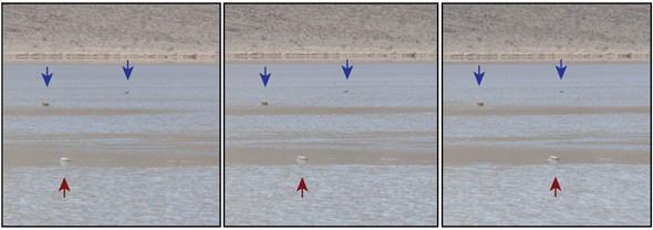 PLOS One dergisinde 27 Austos gn yaynlanan aratrma sonularna gre bir bilinmeyene daha bilimsel aklama getirdi.