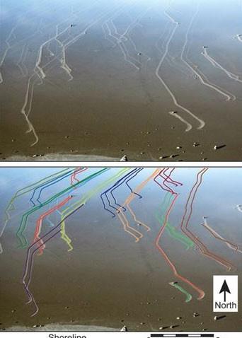 ABD Kaliforniya'da l Vadisi Ulusal Park'nda bulunan ve kuru bir gl yata olan Racetrack Playa'da bulunan ve "Sailing stones" denilen hareketli kayalarn gizemi 1940'dan beri birok bilim adamnn gndemini megul ediyordu.