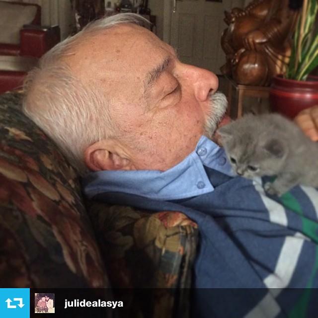 Zeki Alasya'nn, basnda yer alan gemi tarihli rportajlarnda; "Eer bir gn Oscar kazanacaksak bu Cem Ylmaz'n yapt i olacak" aklamasndan yola klarak Cem Ylmaz' ne kadar sevdiinin anlaldn ama cenazede bulunmad hatrlatlnca...