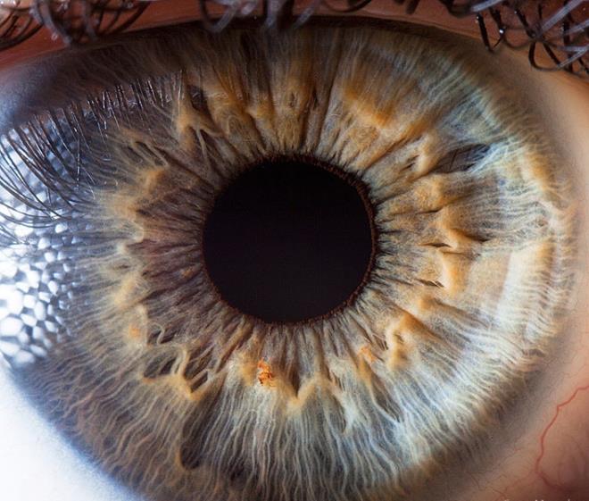 risin yaplarn ve her ayrntsn gstermek iin ekilen fotoraf.