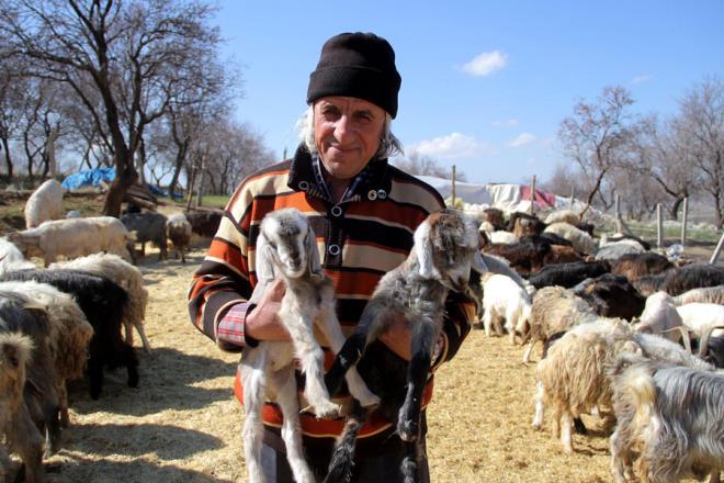 Zaten yamz gemi, ne kald? Ben 56 yandaym, yine de biraz rahat etmek istiyoruz.'' diye konutu.- ''Zeki Bey'i takdirle karlyoruz''F Fen Fakltesi Kathal Fizii Ana Bilim Dal retim yesi Prof. Dr. Fahrettin Yakuphanolu ise rencisinin yana ramen stn bir gayret gstererek hem kydeki ilerini yrttn hem de niversite okuduunu dile getirdi.