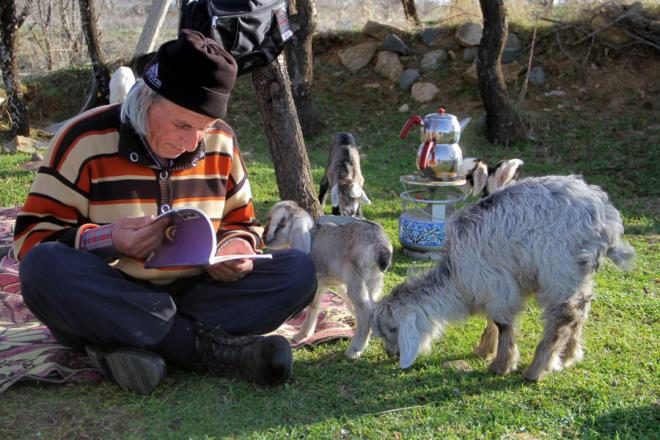 Hem hayvanlarm hem de kitaplarm ok seviyorum. Burada doayla ii ie kitaplarm da okuyorum, hayvanlarma da bakyorum, aym da iiyorum, kahvaltm da yapyorum. Bu ekilde yaamak zevk veriyor.'' diye konutu.niversiteyi bir an nce bitirmek iin ev, okul ve arazide srekli derslerine altn kaydeden Gr, ''Derslerimi ok seviyorum, snavlarmda 60-70'in zerinde alyorum.