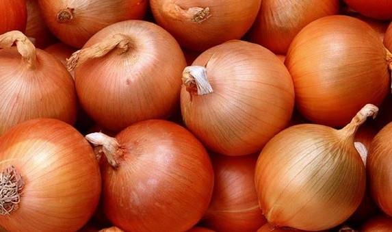 Ar ve sinek sokmalarnda soan lkemize ar soktuu zaman stne tezek srmekten tkrmeye kadar pek ok lgn tedavi yntemi nerilir ancak asl tedavi yine soanda. stelik sadece ar deil, sivrisinek sokmalarnda da bir hayli etkili bir yntem. Hayr soan srmeyeceksiniz. Evinizde yaz gnleri sada solda soan kesip koyun bir kenarlara. Arlar ve sivrisinekler soann olduu yerlere yaklamazlar. Ar sokmasna daha ar sokmadan savunmanz alm olursunuz.