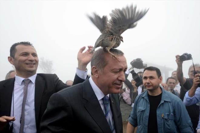 Yln Siyaset Fotoraf birincisi Doan Haber Ajans'ndan Uur Can oldu. Cumhurbakan Recep Tayyip Erdoan, Rize'de evre ve Orman Bakanlnca yetitirilen keklikleri doaya salarken korumalarn elinden kurtulan bir keklik Erdoan'n bana konmutu.