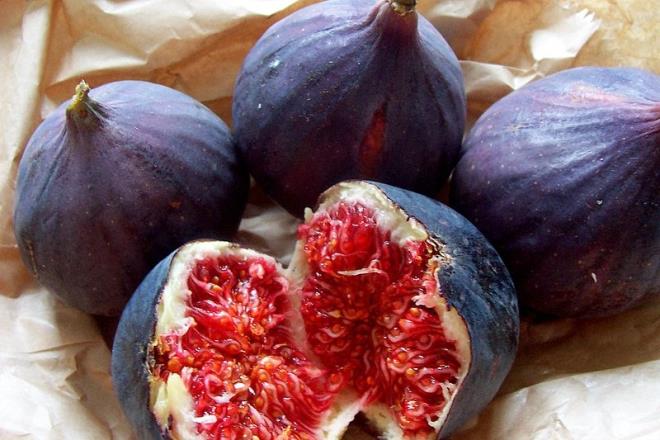 ncirin anavatan Aydn'a gelen Prof. Dr. Canan Karatay, Trkiye'de en uzun yaayan insanlarn yaad Nazilli'de konferansa katld. Karatay, TK'in dn aklad 2015 lm nedenleri aratrmasnda dolam sistemi hastalklarndan en fazla lmn grld incir diyar Aydn ve Nazilli'de yaayanlar iin nemli aklamalarda bulundu.