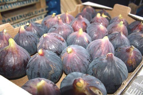 Nazilli'nin halk ok uzun mrl. Fakat insanlar burada en fazla dolam sisteminden kaynaklanan sorunlardan dolay yaamn yitiriyor. Tketilen gdalarn kalitesi ok nemli, hazrlan ok nemli. Tabi ki incir memleketindeyiz.