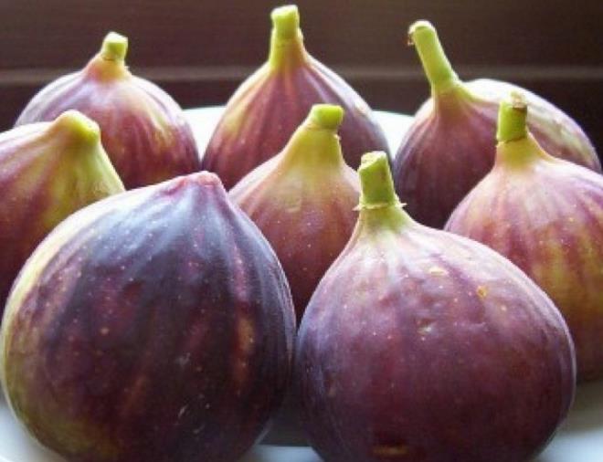 Dolam sistemi hastalklarnn neden olduu lmlerin en fazla grld Aydn'da salk nerilerinde bulunan Prof. Dr. Canan Karatay, incirin dengeli olarak tketilmesini nerdi.