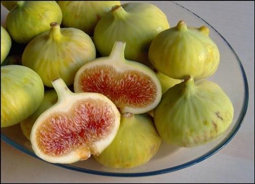 Kamuoyu ile dn paylalan 2015 yl lm Nedeni statistikleri sonularna gre, Aydn'da 2015 ylnda meydana gelen lmlerin yzde 45,87'sinde 3 bin 358 kiinin dolam sistemi hastalklarndan ld grlrken, Karatay incirin dzenli ve dengeli tketilmesini nerdi.