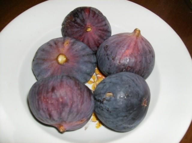 Herkes yemeini kendi yapyor. Zeytin ve zeytinya tketiliyor. Bunlar uzun mr sebebidir" dedi.