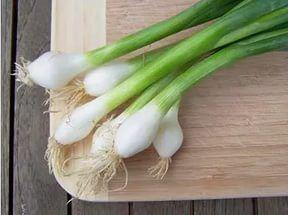 Diyet yaparken yksek kalorili ve ok ekerli enerji ieceklerine de yaklamamalsnz.Bu ieceklerden zayflamann en byk dmanlarndan biridir.