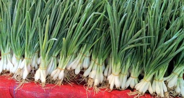 Bu durumda diyetinizi sobete edebilirsiniz.