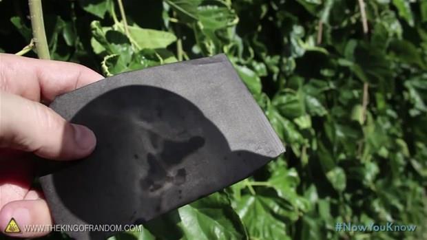 Gnei arkanza aln ve koyu renkli bir kat paras zerine gnei odaklayn.