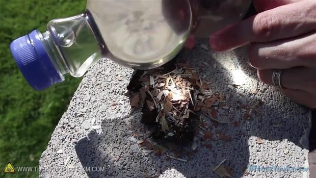 Gnein odak olduu yere aa kabuklar koyun.