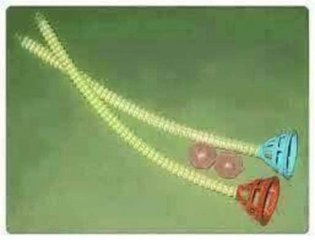 Bununla cieri alan ocuklar vard...