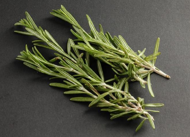 BBERYE SA SALII N NEMLDR  Sa saln korur, sa dklmesine engel olabilir. Sa dklmesini engelemenin yannda dklen salarn yenden kmasn salayabilir.