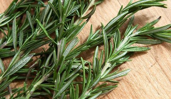 BBERYE KANSER NLER  Biberiye ok gl anti kanser bileeni olarak bilinen karnosal iermektedir. Bu knuyla ilgili olarak yaplan bilimsel aratrmalar meme kanseri, prostat kanseri, kolon kanseri, lsemi ve cilt kanserine kar etkili bir ifa kayna olabilecei ynnde sonular vermitir. Bilim adamlarnn fareler zerinde yaptklar deneylerde iki hafta boyunca farelere uygulanan biberiyenin kanser etkilerini %76 orannda azalttn ortaya koymutur.