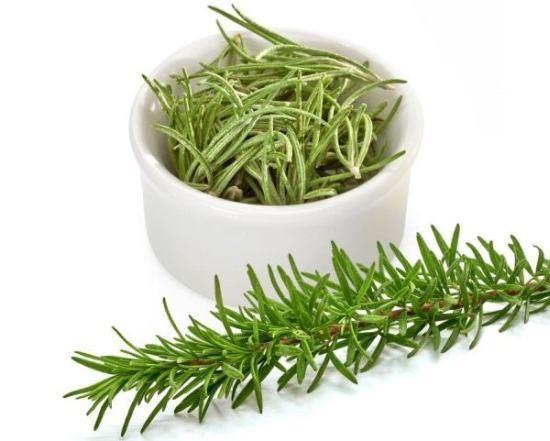 BBERYE KARACER VE SOLUNUM SORUNLARINI GDEREBLR  Biberiyenin ok etkili bir garagara olduunu sylemek mmkn, Ilk su ile azda alkalanmas nefes kokusunu giderir, az saln korur. Biberiye ayn zamanda solunum yolu sorunlarnn giderilmesine yardmc olur. Uucu yalarn kokusu nefes borularn aar, nefes borusundaki iltihaplar giderebilir ve solunumu kolaylatrr. Bunun dnda sinzitten kaynaklanan ba ars problemlerini giderebilir.