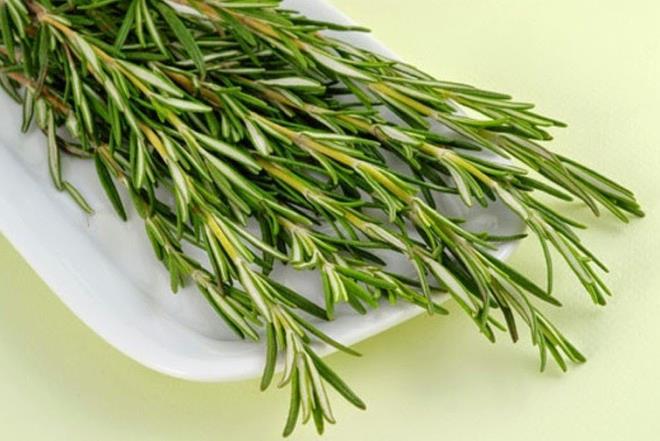 BBERYE KLO VERMEY SALAR  Biberiye bitkisinin taze ya da kurutulmuunun ay olarak hazrlanarak tketilmesi itah keserek kolay kilo verilmesine yardmc olmaktadr. Ayrca biberiye bitkisinin yapraklarndan elde edilen yan bel ve basen blgesine uygulanmas incelmeyi hzlandrmaktadr. Bununla birlikte bayanlarn korkulu ryas haline gelen sellitlerden kurtulmaya yardmc olan biberiye ya, sellitli olan blgeye 10 &#8211; 15 dakika sre ile masaj yaparak uygulanr. Hem incelmeye hem de cildin przsz grnme kavumasnda olduka etkilidir.