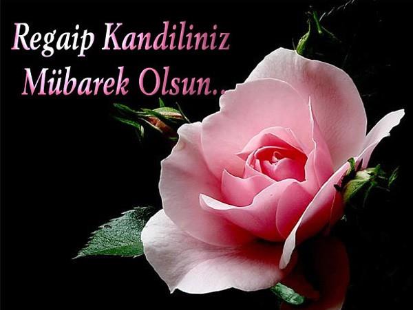  aylarn balangc olan Regaip Kandili 07 Nisan Perembe gn idrak edilecek. Regaip Kandili gecesinde nasl ibadet edilir ile ilgili merak ettiklerinizi haberimizde derledik. Regaip Kandili ve  Aylar'n nemi, en gzel Regaip Kandili mesajlar haberimizde.