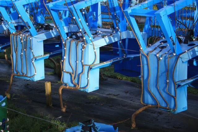 te Gavin Munro'nun bahesinde yetitirdii sandalye ve masalar...